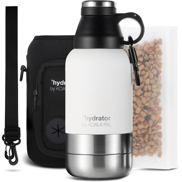 Travel Water Bottle & Bag (32 oz)