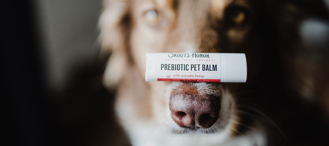 Prebiotic Pet Balm Travel Stick for Dogs & Cats