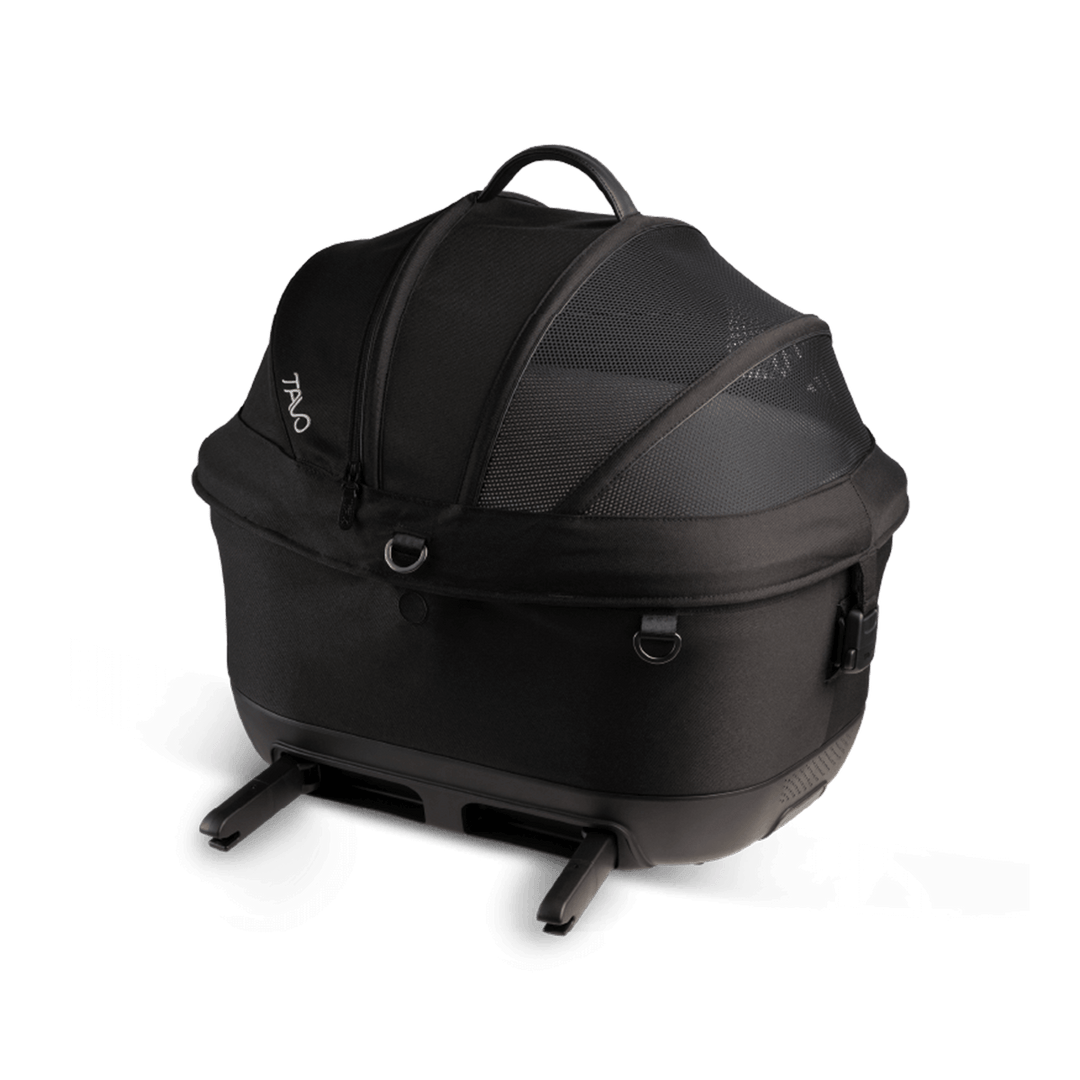 Maeve iso
