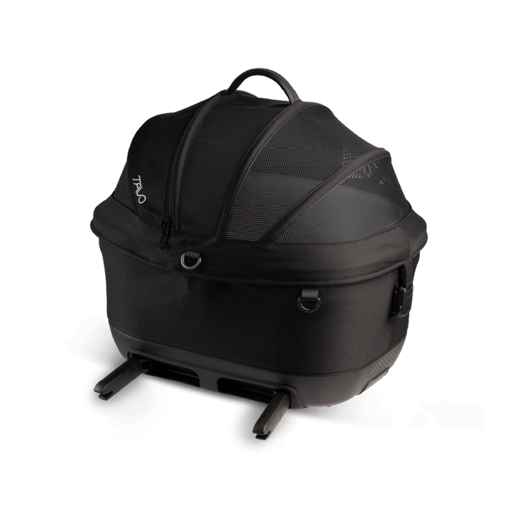 Maeve iso
