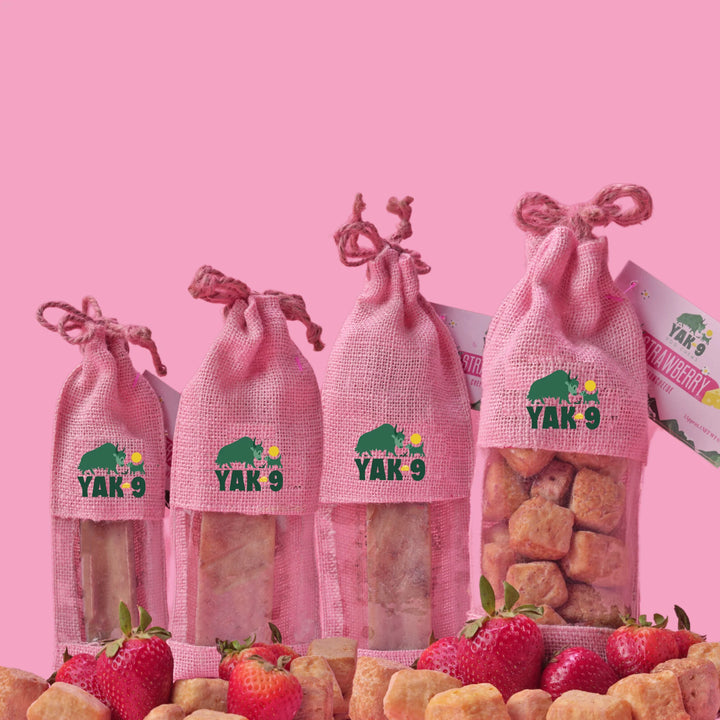 Yak9 - Strawberry Cheese Chew - Small
