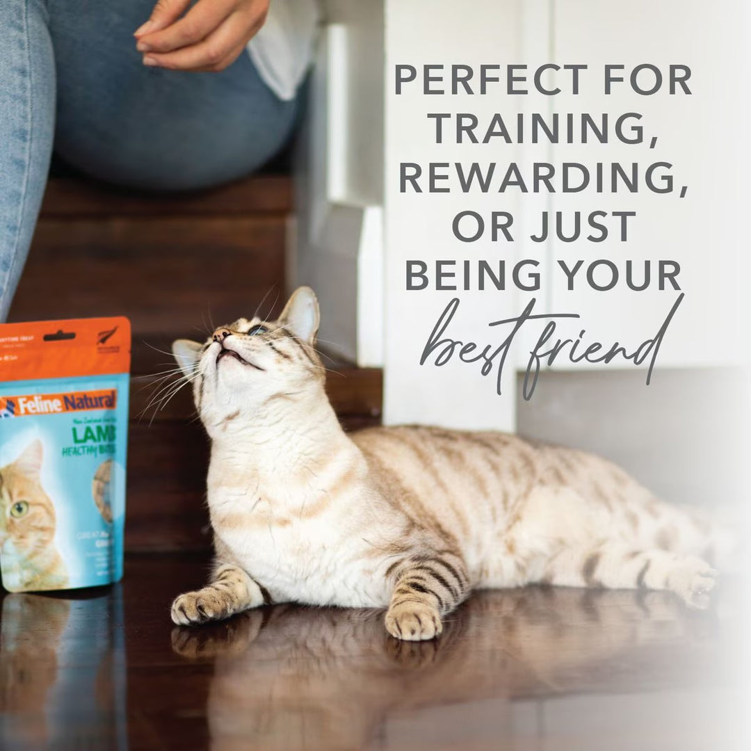 Feline Natural Lamb & Organs Healthy Bites