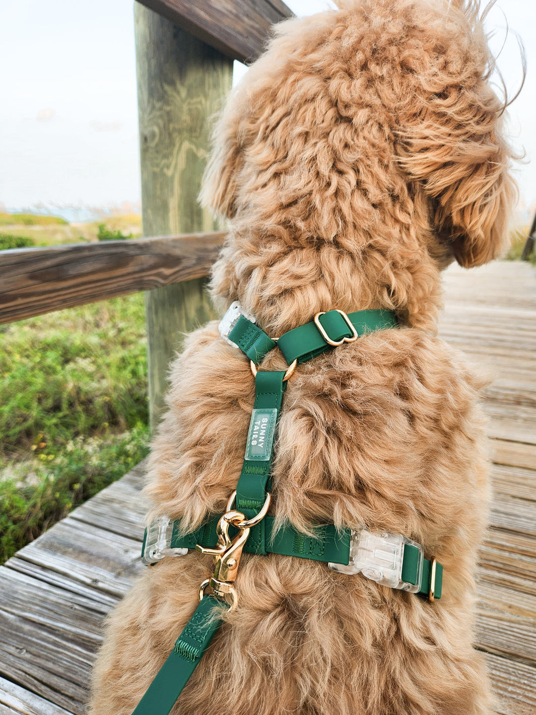 Cloud Lite Harness