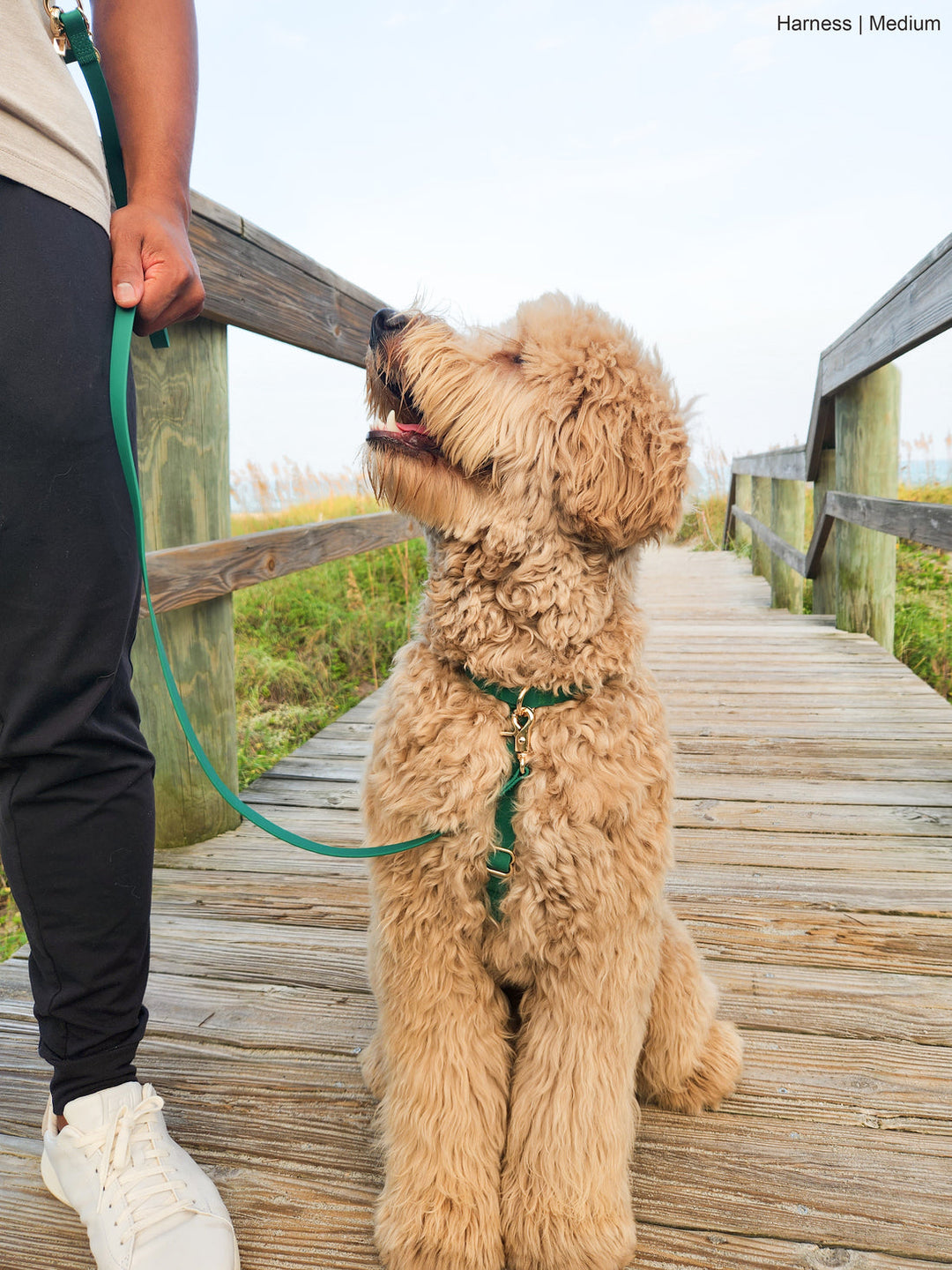 Cloud Lite Harness