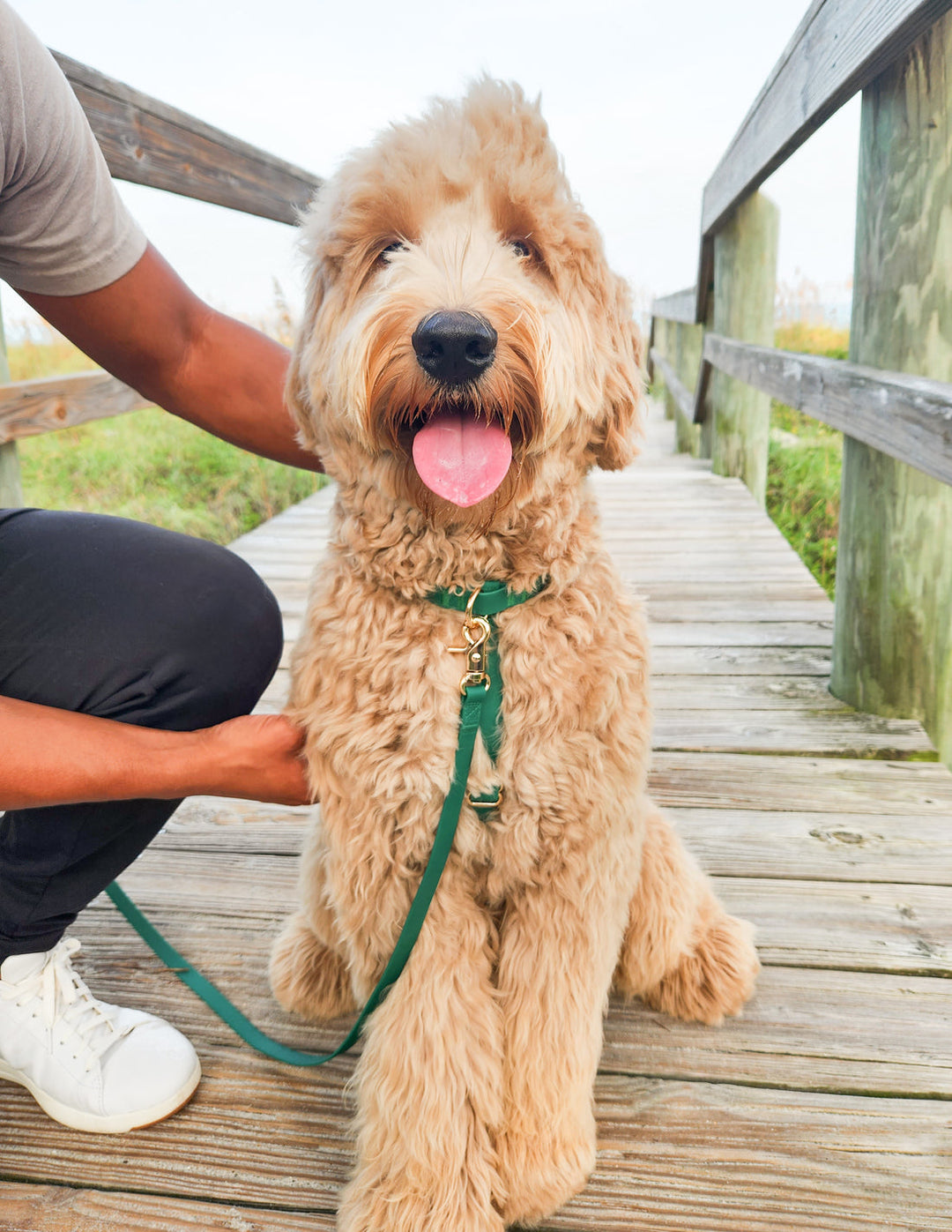 Cloud Lite Harness