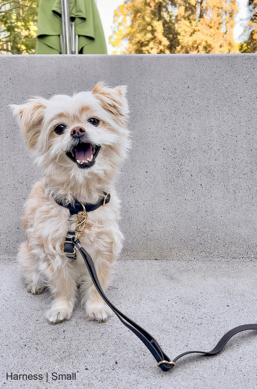 Cloud Lite Harness