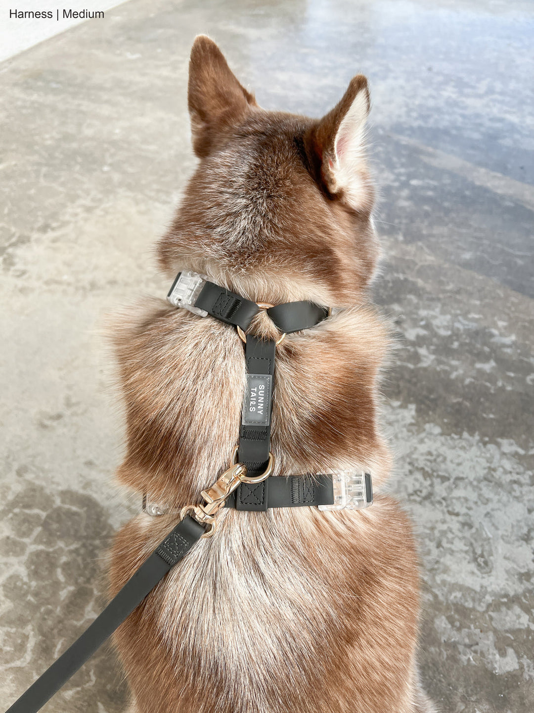 Cloud Lite Harness