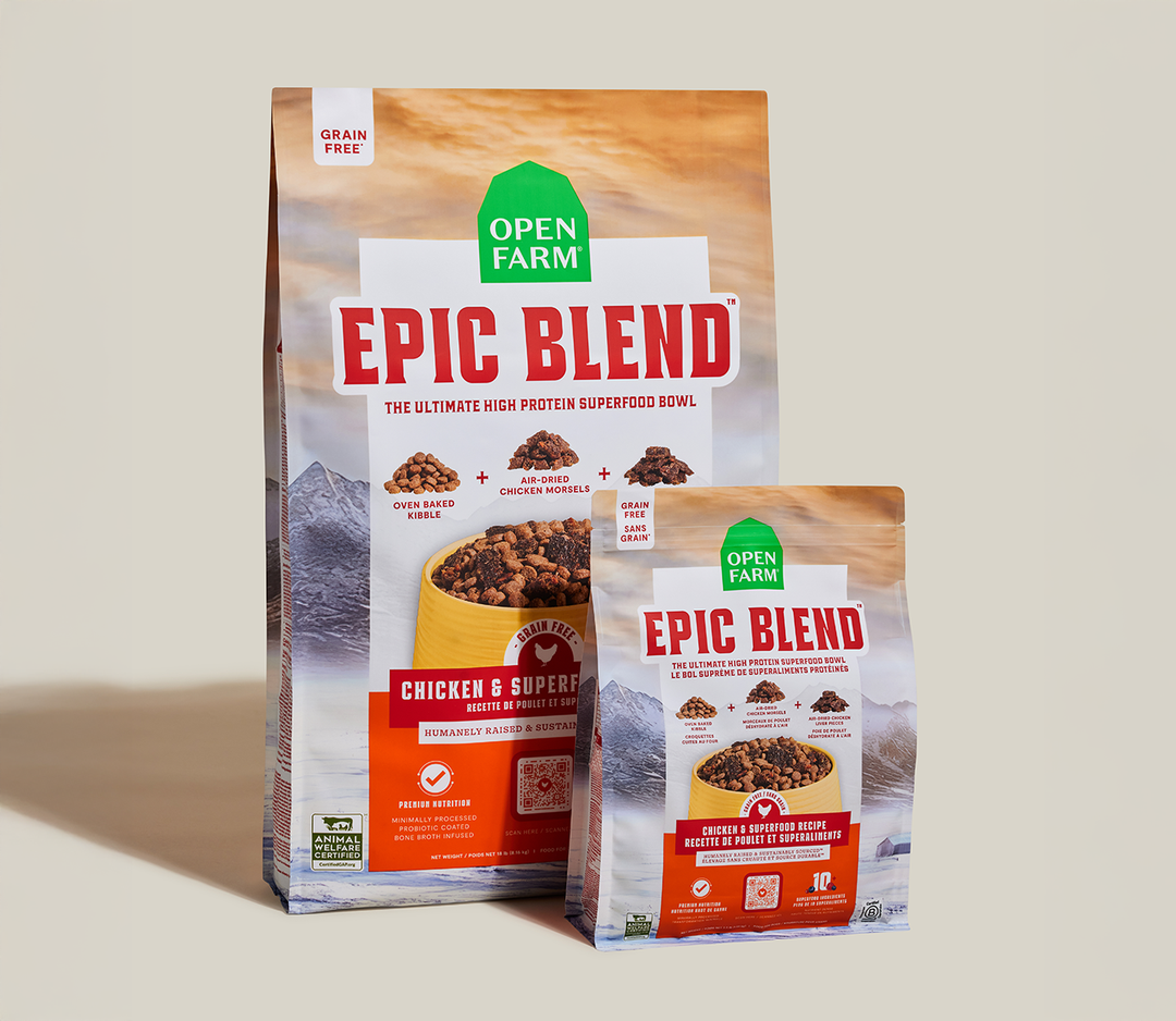 Epic Blend Grain-Free Dry Dog Food