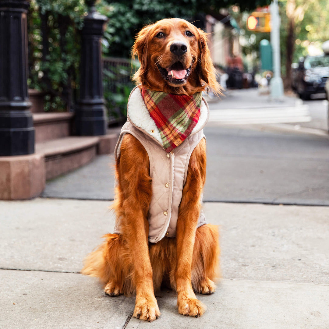 Fawn Sherpa-Lined Reversible Dog Jacket