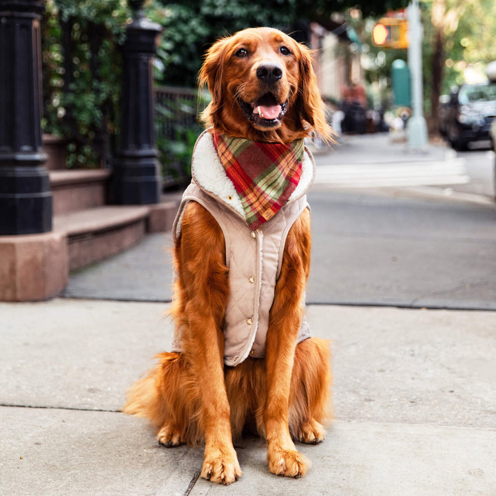 Fawn Sherpa-Lined Reversible Dog Jacket