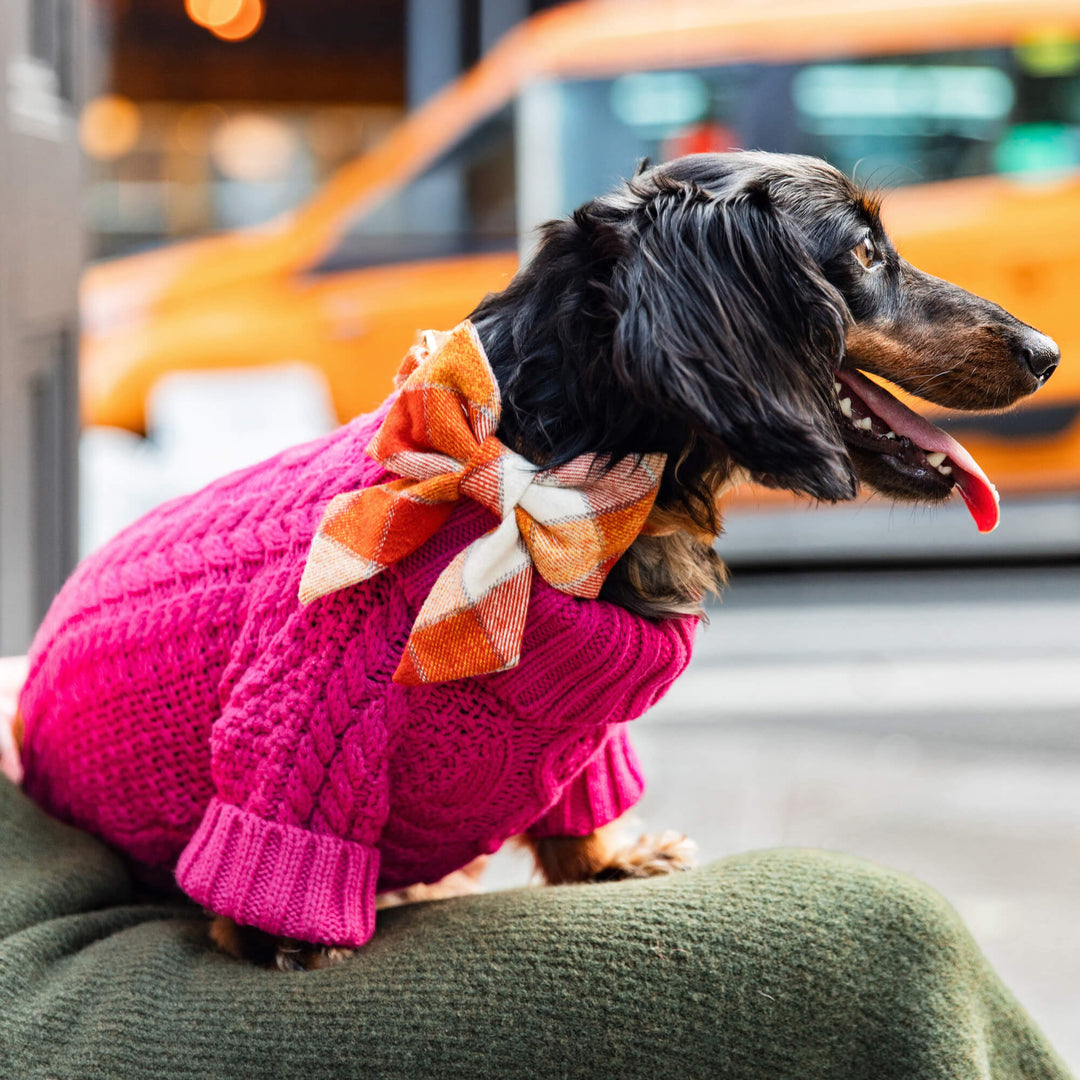 Hot Pink Cable Knit Dog Sweater
