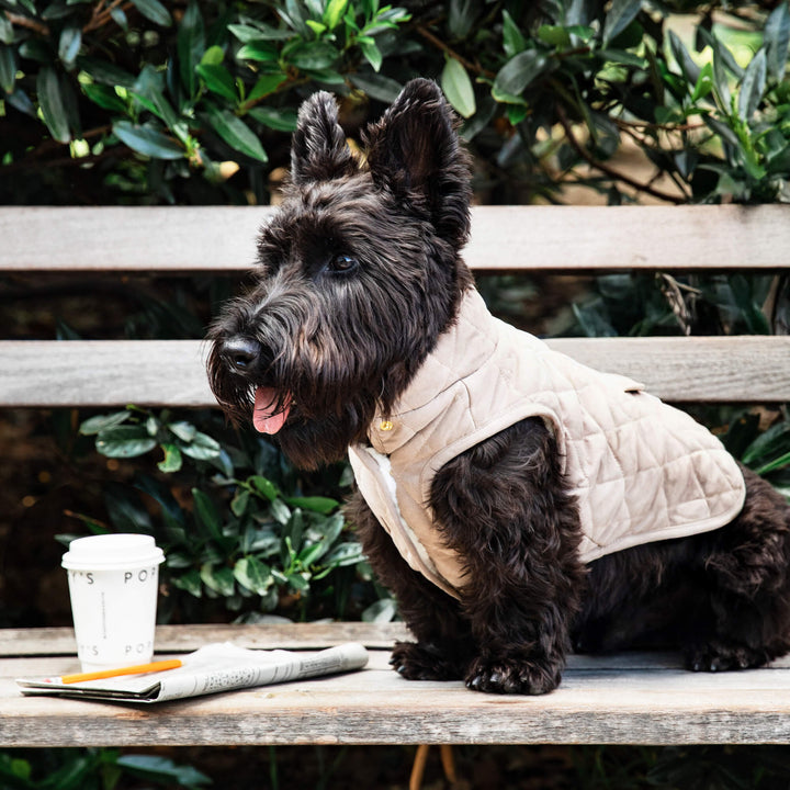 Fawn Sherpa-Lined Reversible Dog Jacket