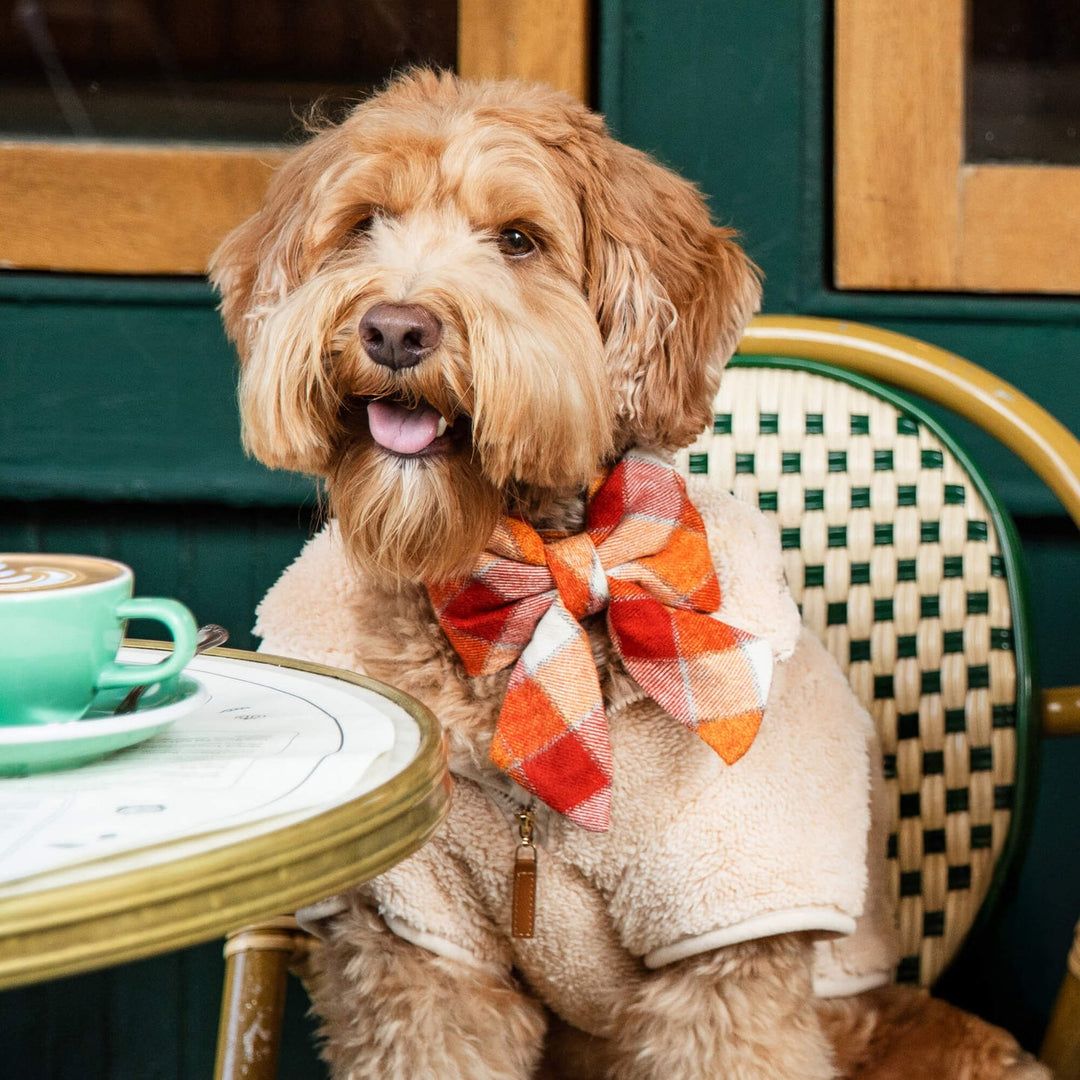 Wheat Quarter-Zip Sherpa Dog Jacket