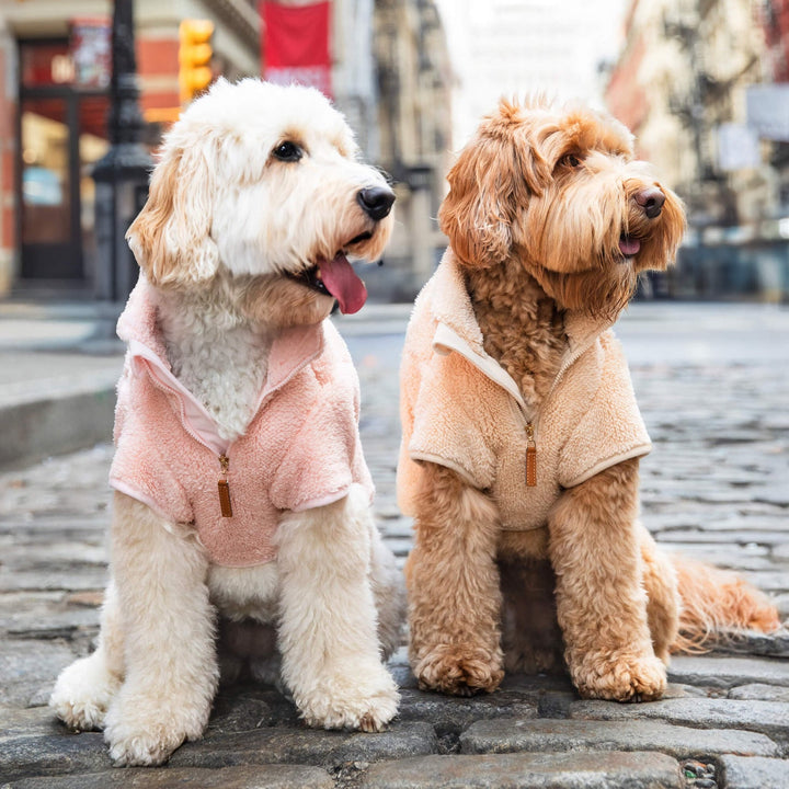 Wheat Quarter-Zip Sherpa Dog Jacket