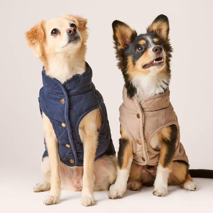 Fawn Sherpa-Lined Reversible Dog Jacket