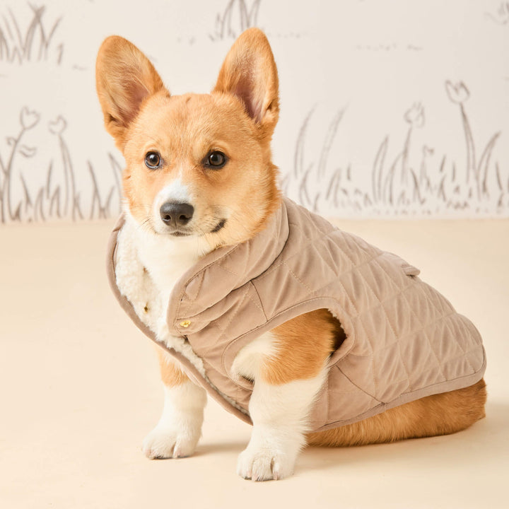 Fawn Sherpa-Lined Reversible Dog Jacket