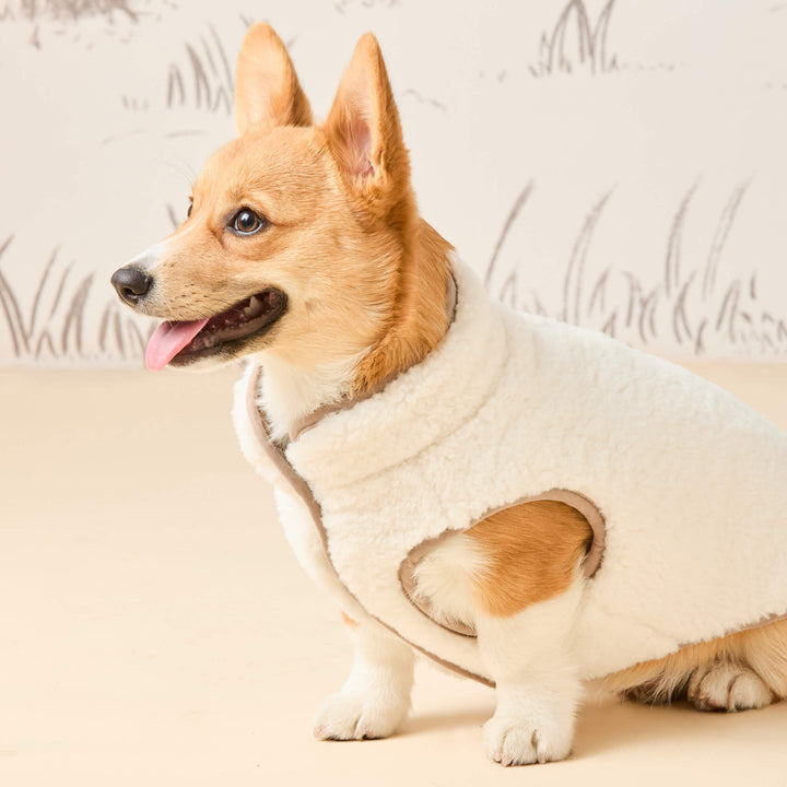 Fawn Sherpa-Lined Reversible Dog Jacket