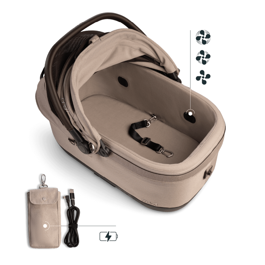 Maeve iso Wind + Roscoe Trek