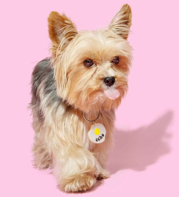 Kissamo Pet Tags