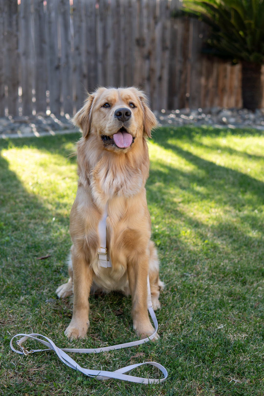 Cloud Lite Harness