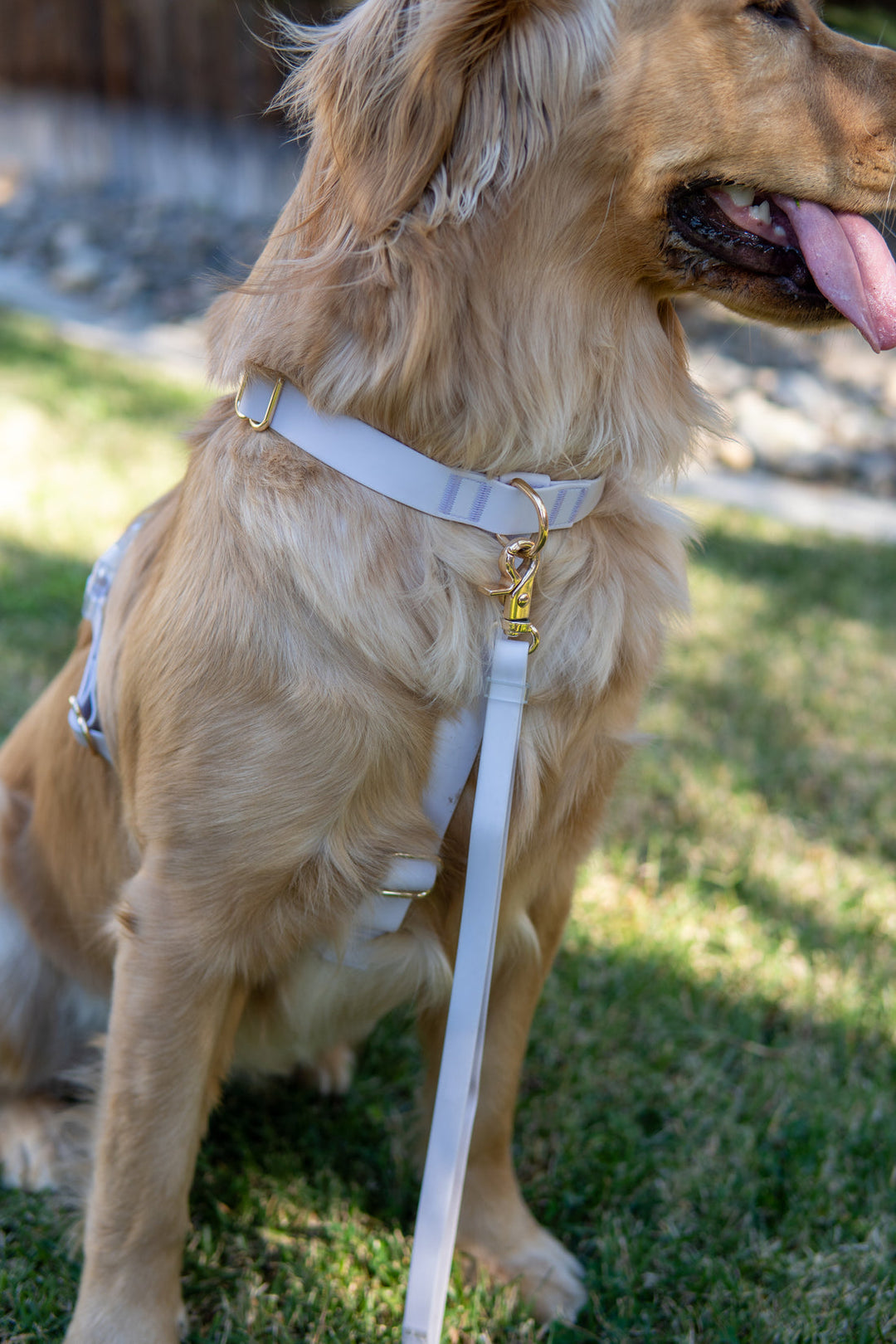 Cloud Lite Harness