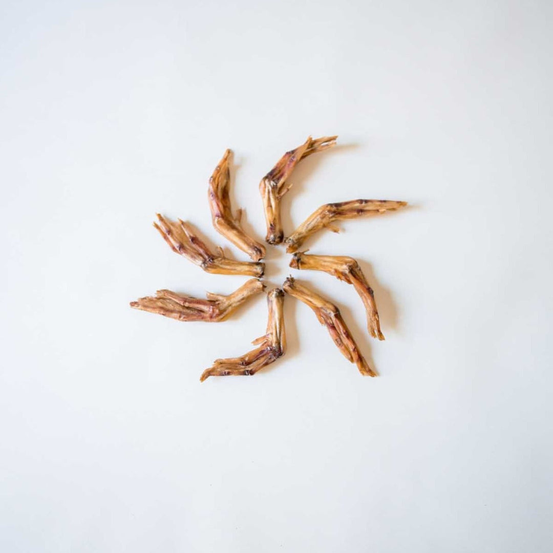 Freeze-Dried Duck Feet - Crunchy Single-Ingredient Chew