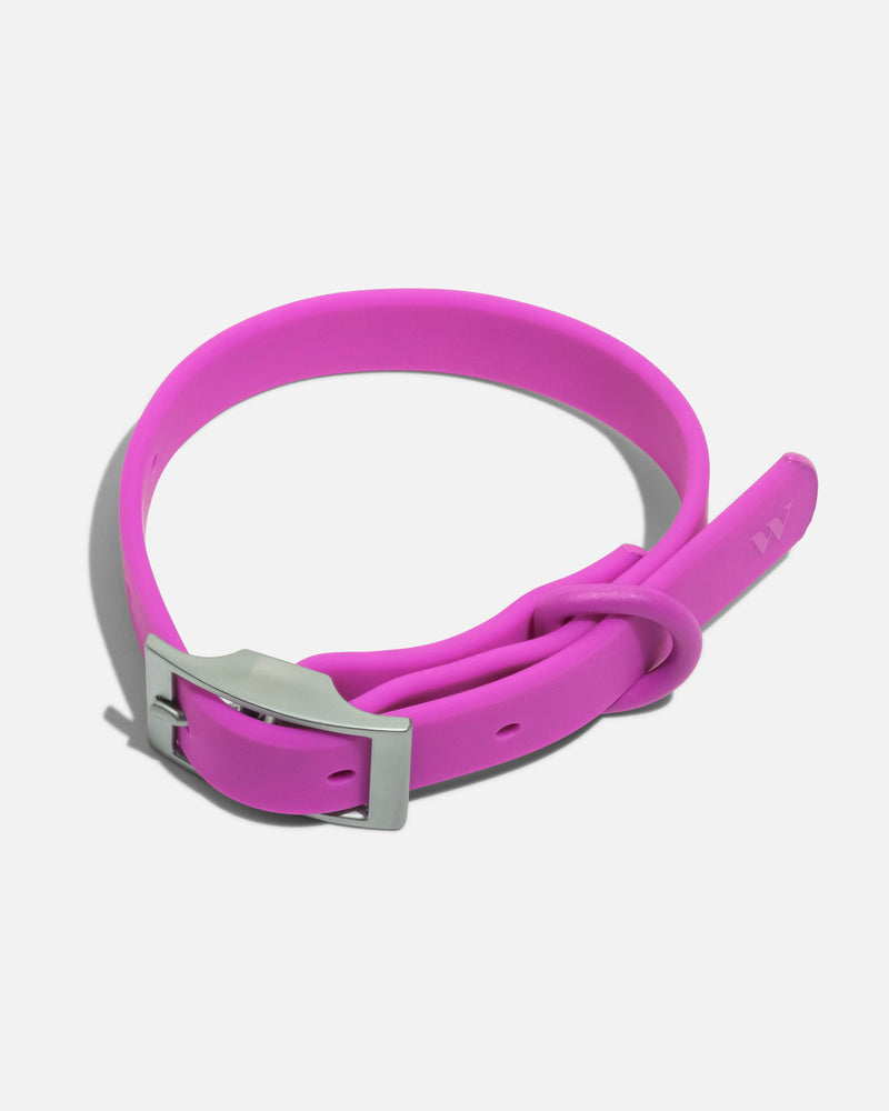 Adjustable Dog Collar