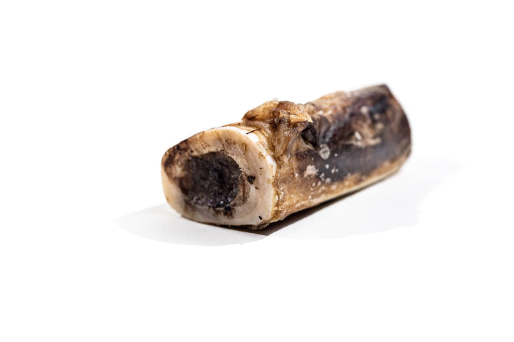Bison Marrow Bone