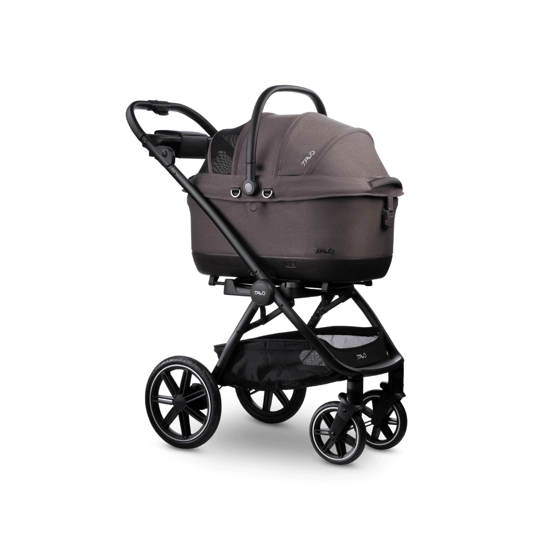 Maeve iso Wind + Roscoe Trek