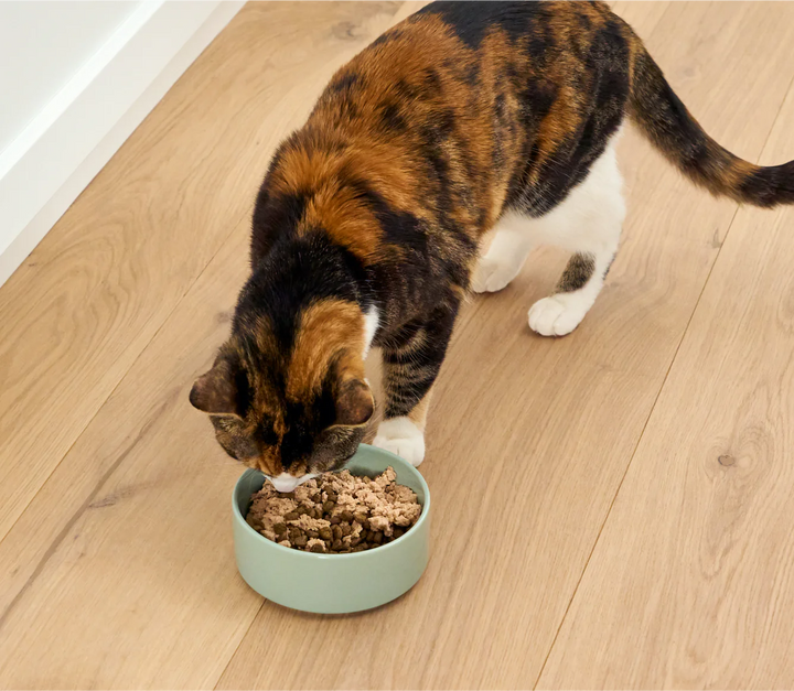 Silky Mousse Topper for Cats