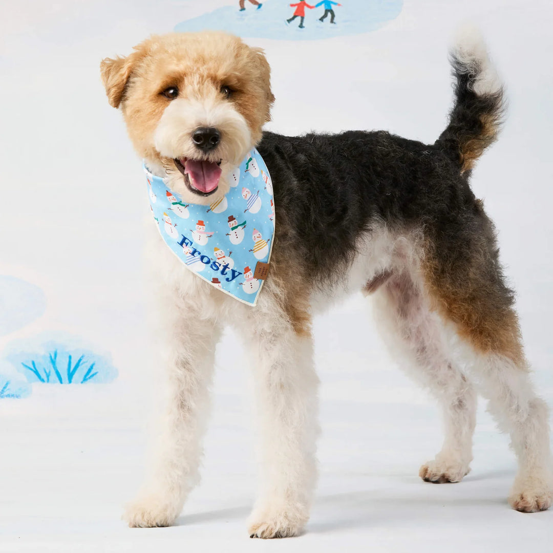 Frosty Friends Bandana