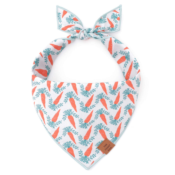 Carrot Patch Easter Reversible Dog Bandana