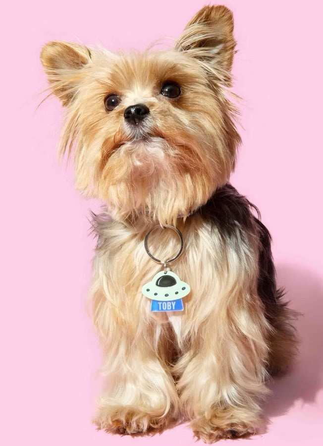 Kissamo Pet Tags