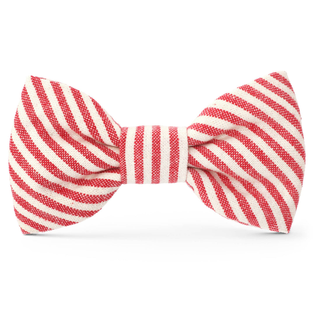 Dog Bow Tie