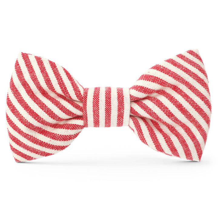 Dog Bow Tie