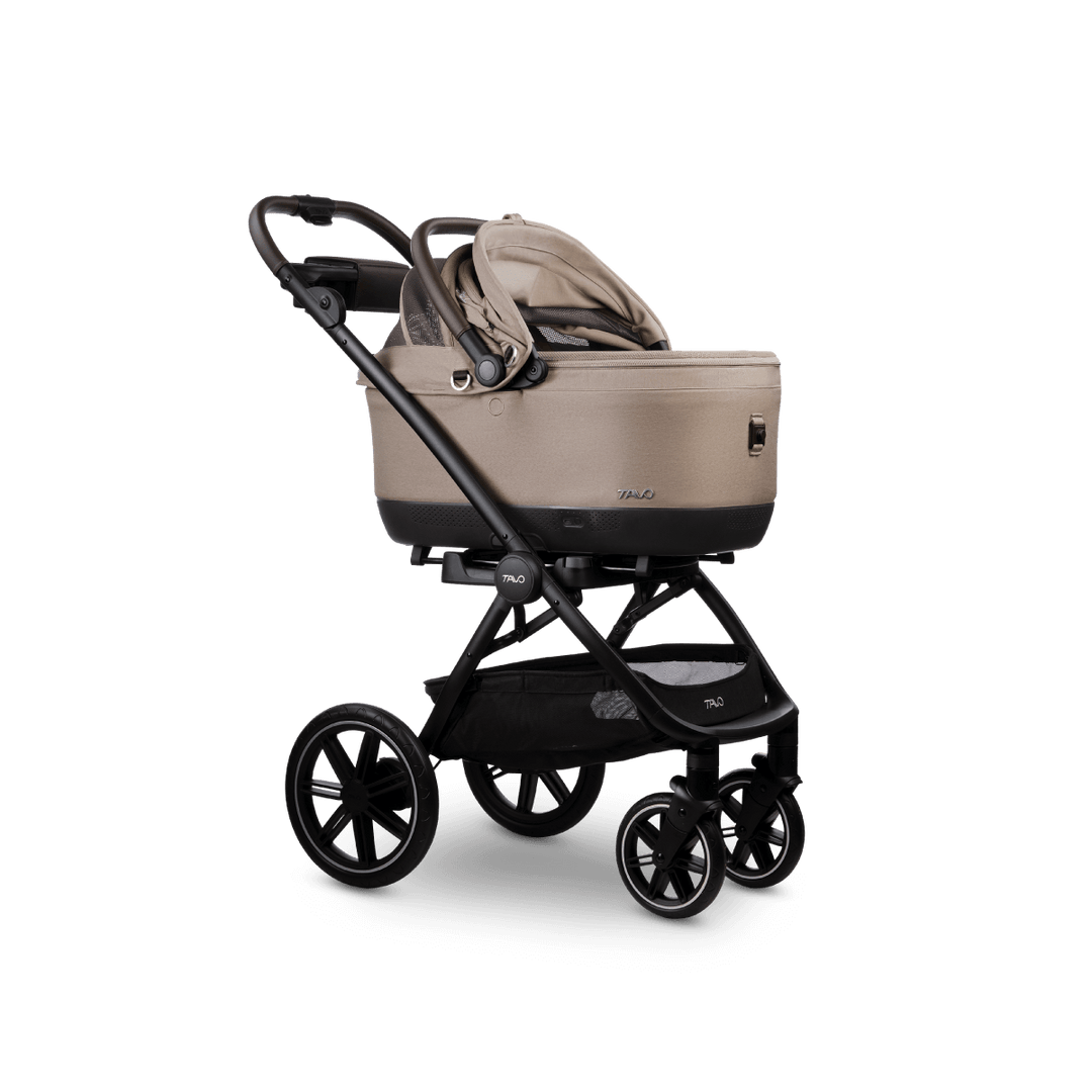 Maeve iso Wind + Roscoe Trek