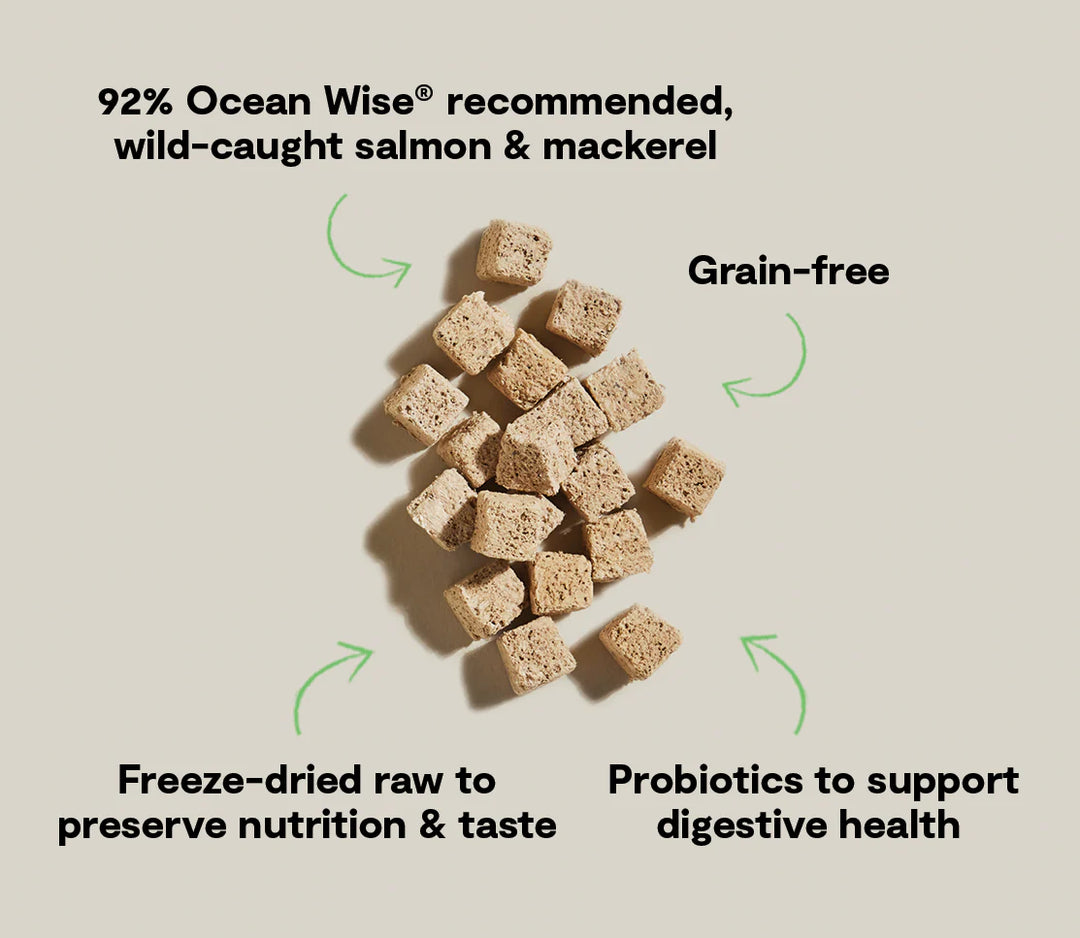 Open Farm Freeze Dried Raw Kitty Cubes Salmon & Mackeral