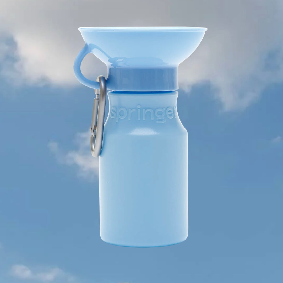 Mini Travel Water Bottle (15 oz)