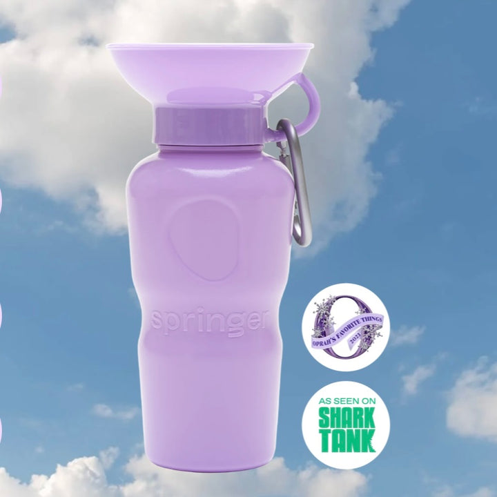 Classic Travel Water Bottle (22 oz)