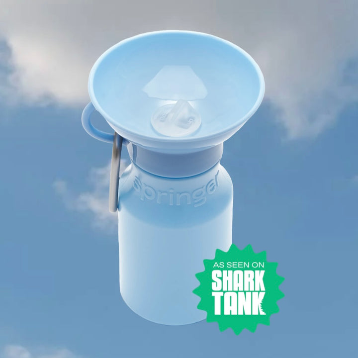 Mini Travel Water Bottle (15 oz)