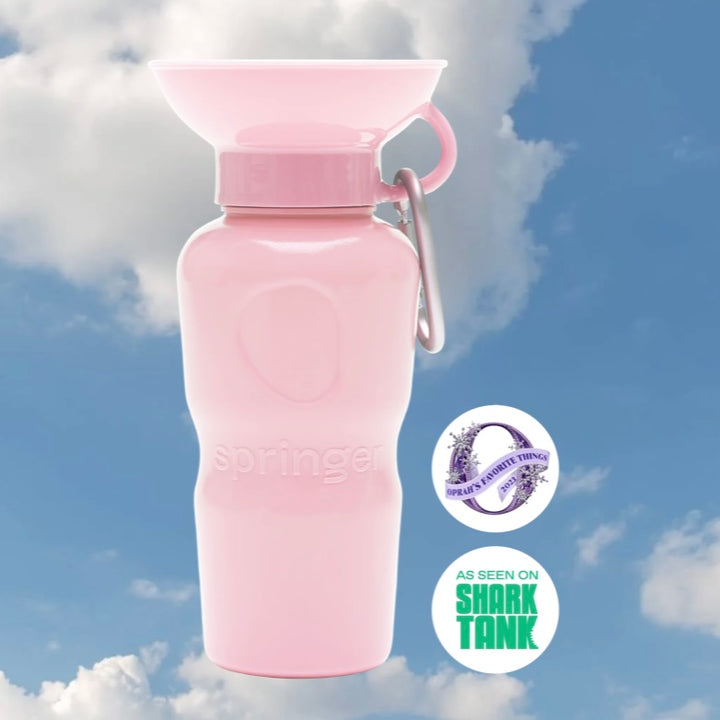 Classic Travel Water Bottle (22 oz)