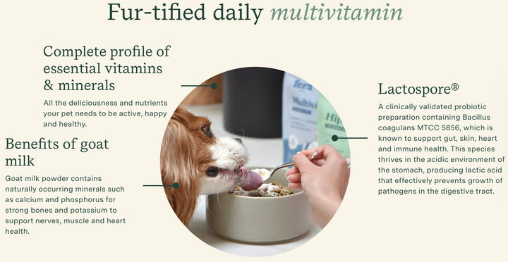 Multivitamin Goat Milk Topper for Dogs & Cats