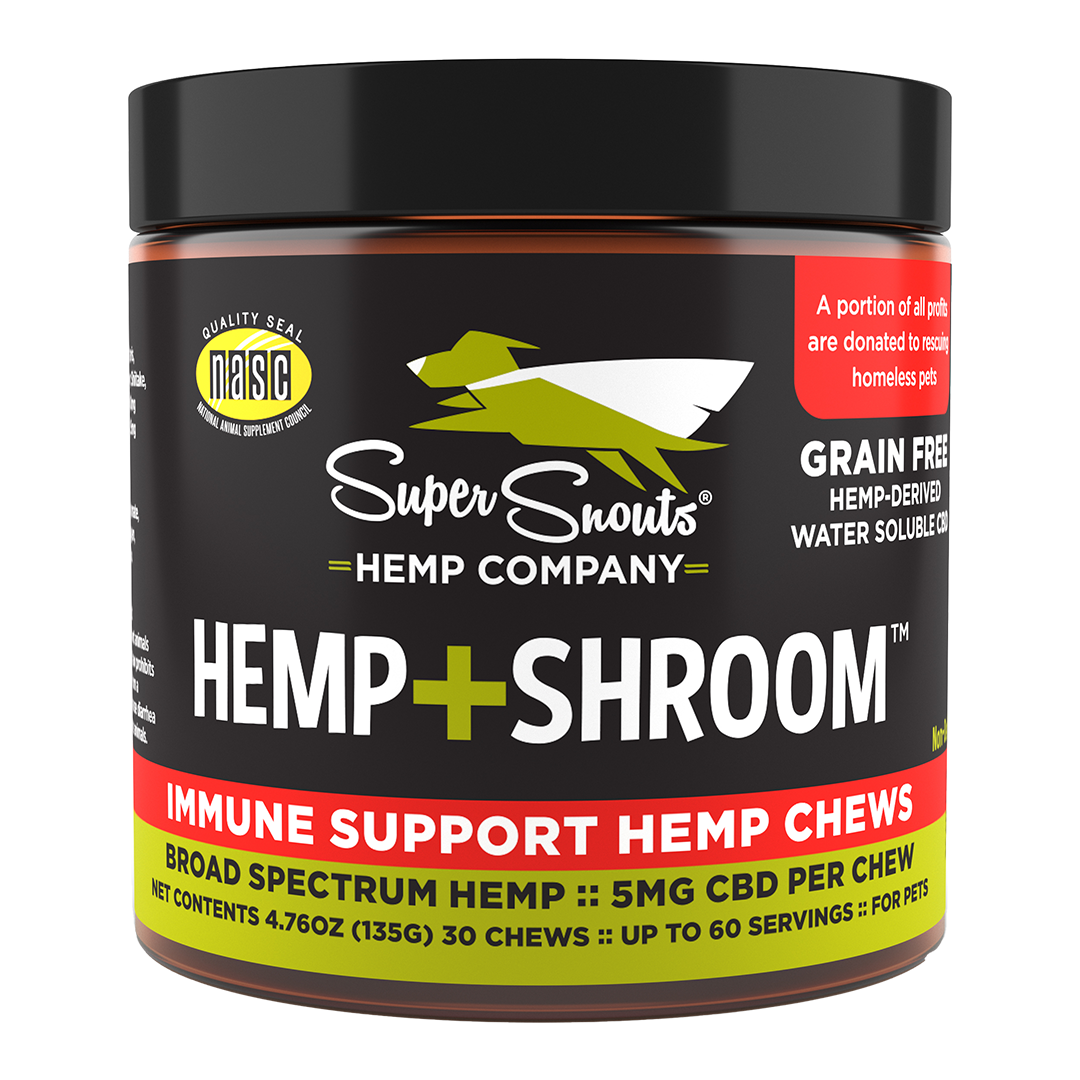 Hemp + Shroom Skin Health Support Hemp Chews (30 ct)