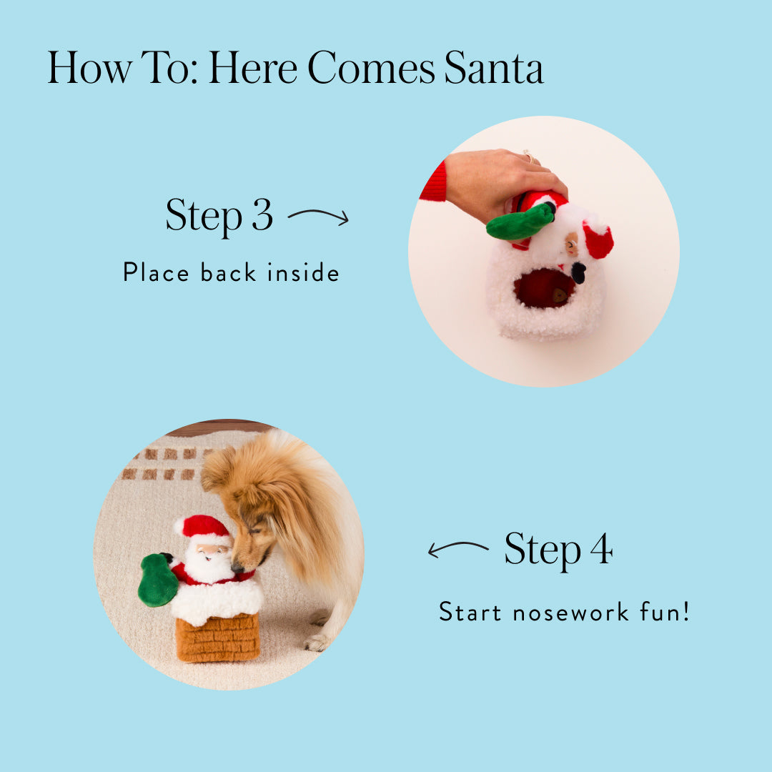 Here Comes Santa Interactive Snuffle Dog Toy