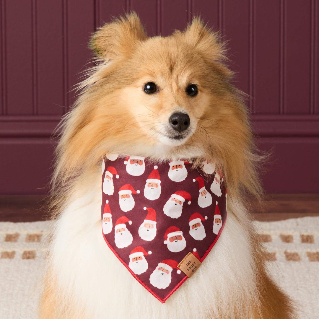 Ho Ho Ho! Dog Bandana