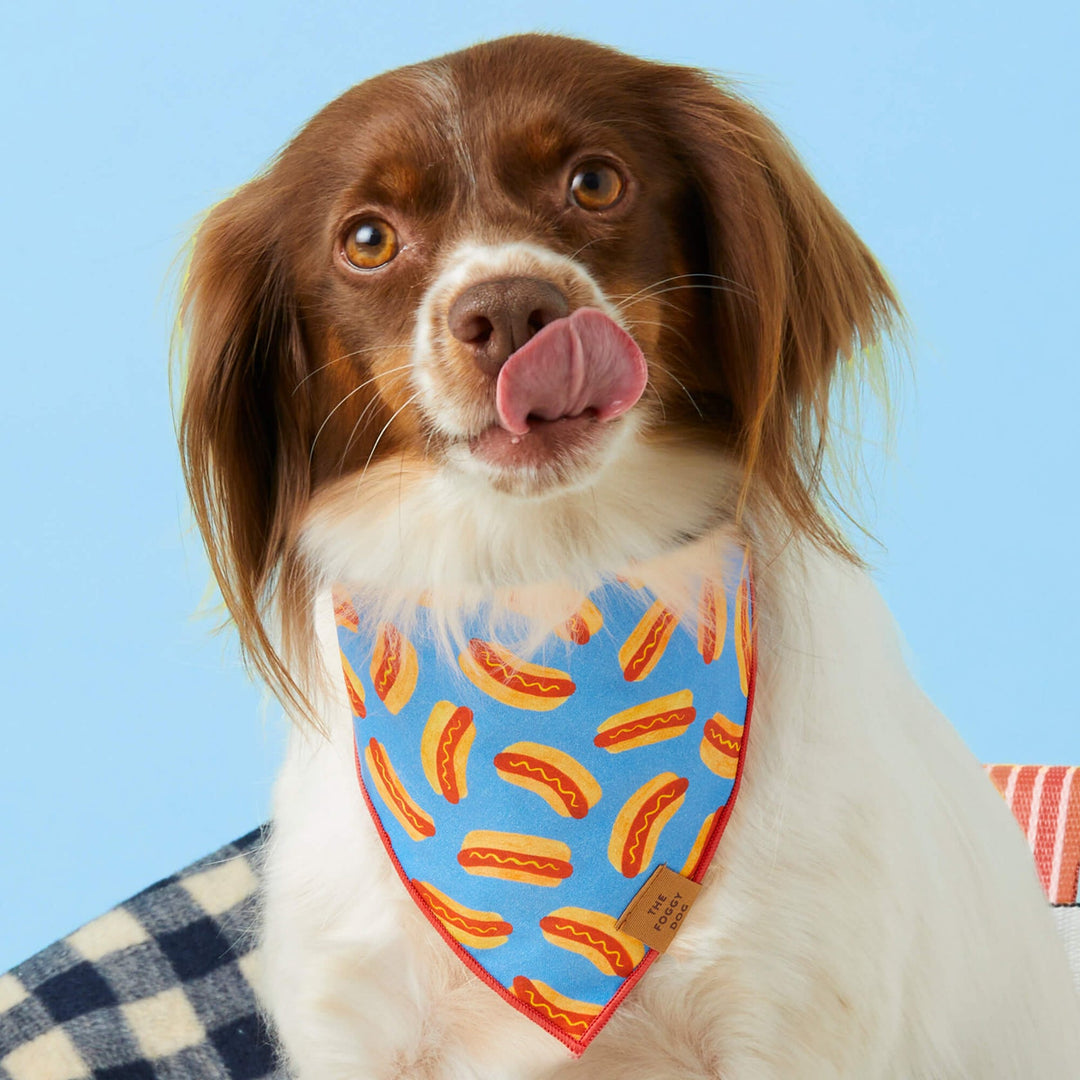 Hot Diggity Dog Summer Bandana