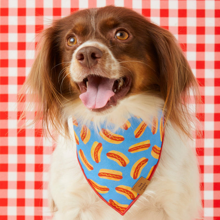 Hot Diggity Dog Summer Bandana