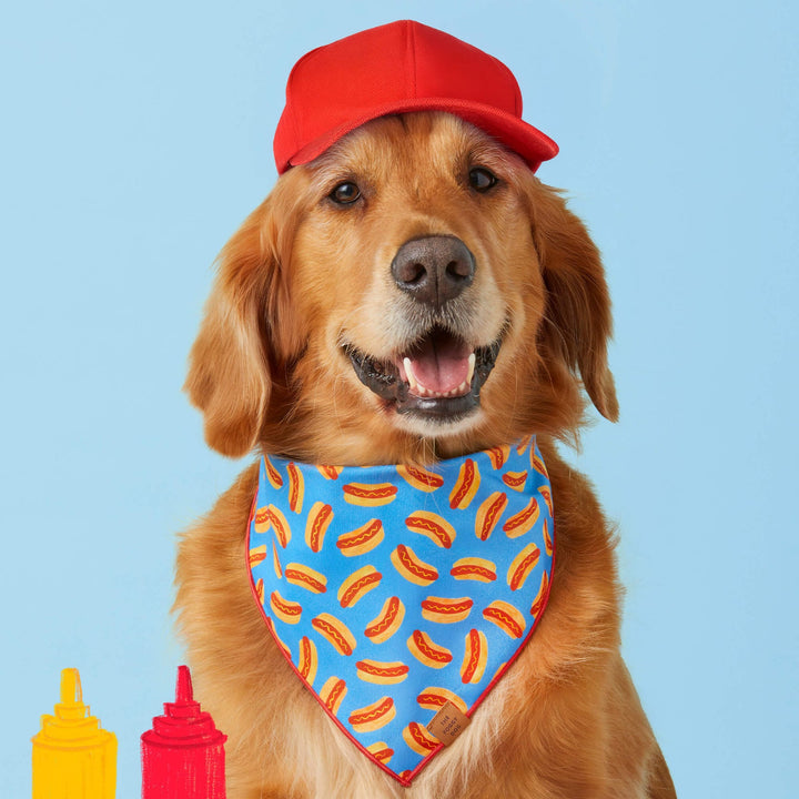 Hot Diggity Dog Summer Bandana