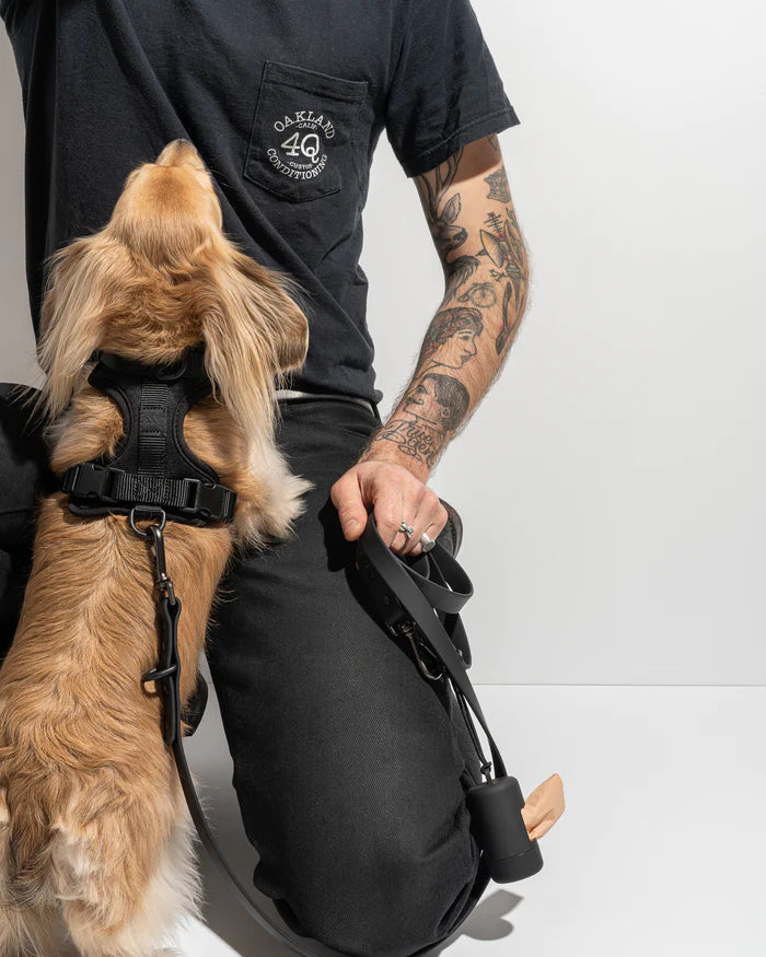 Adjustable Comfort Dog Harness