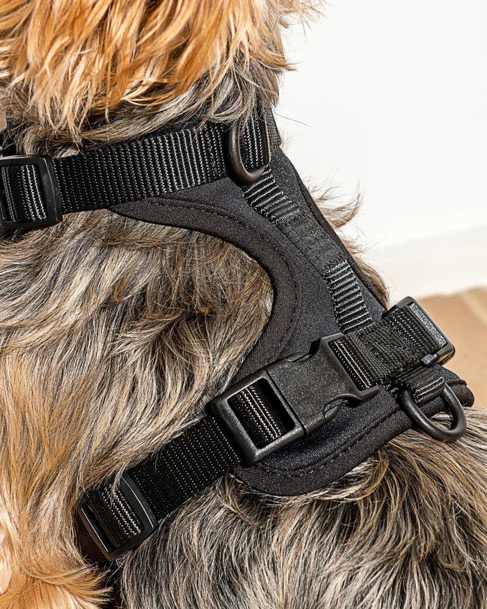 Adjustable Comfort Dog Harness